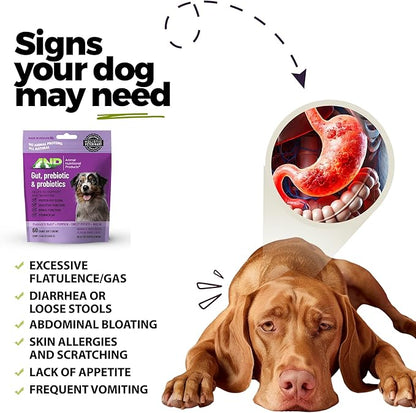 ANP Advanced Prebiotic & Probiotic Natural Chews for Dogs - No Animal Proteins, Gut Flora Health, Clinically Studied ProSEB Multi® for Digestive Health, including Diarrhea Relief and Bowel Stability