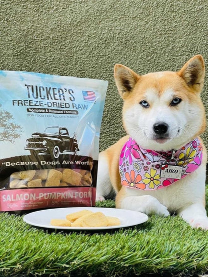 Tucker's Raw Frozen Freeze Dried Raw Dog Food, Salmon & Pumpkin Formula 12oz