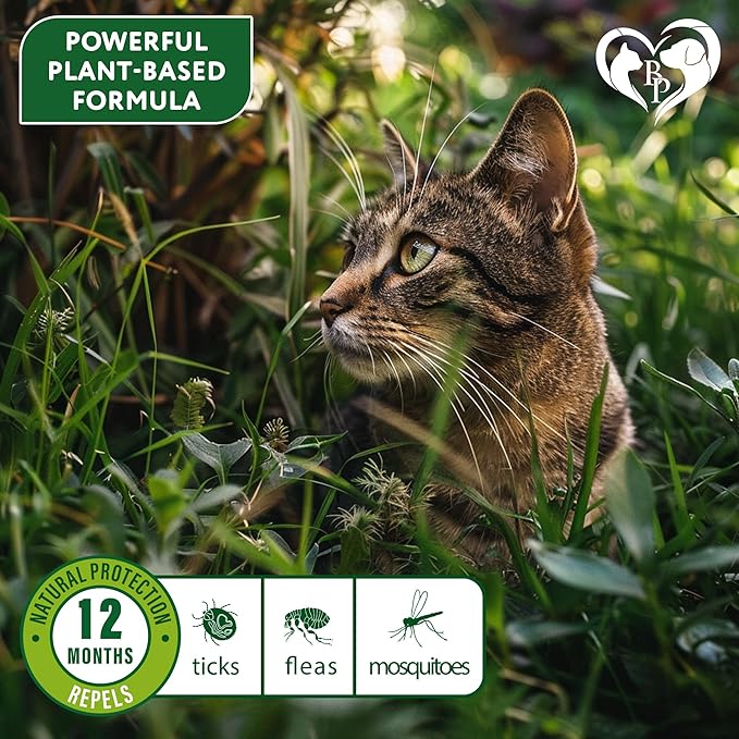 Natural Flea & Tick Collar for Cats - 12 Months Control of Best Prevention & Safe Treatment - Anti Fleas and Ticks Essential Oil Repellent (2 pack)