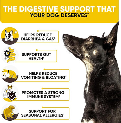 Probiotics for Dogs - Dog Probiotics and Digestive Enzymes for Small, Medium and Large Dogs - Support Gut Health, Itchy Skin, Allergies, Yeast Balance, Immunity (180 Chews)