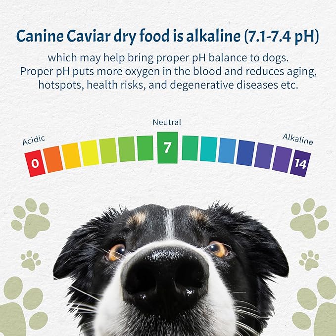 Canine Caviar Wild Ocean Dog Food – Limited Ingredient Alkaline Holistic Dog Food – All Life Stages – Gluten Free, Ultra-Premium Dog Food – Healthy Skin & Coat – Herring & Quinoa – 11 lbs