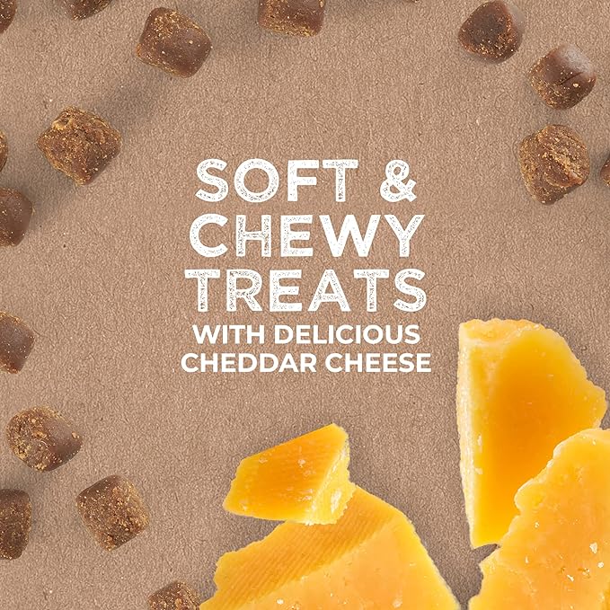 Cloud Star Tricky Trainers Soft & Chewy Dog Training Treats 14 oz Pouch, Cheddar Flavor, Low Calorie Behavior Aid with 360 treats