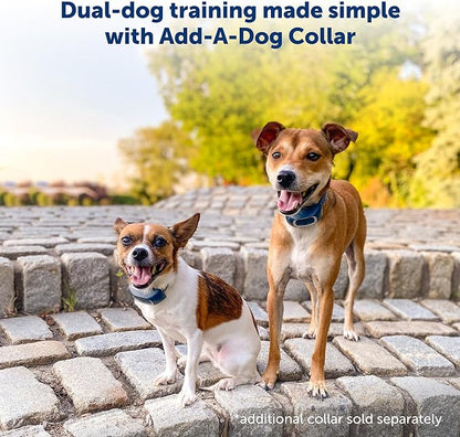 PetSafe 300 Yard Remote Training Collar Smaller Version for Small or Medium Dogs Choose from Tone, Vibration, or 15 Levels of Static Stimulation Medium Range Option for Training Off Leash Dogs