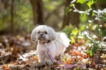 Pets First Collegiate Pet Accessories, Dog Leash, LSU Tigers, Medium