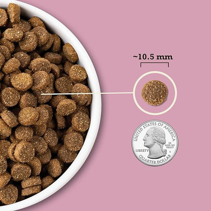 ACANA Wholesome Grains Dry Dog Food, Small Breed Recipe, Chicken and Turkey Dog Food, 4lb