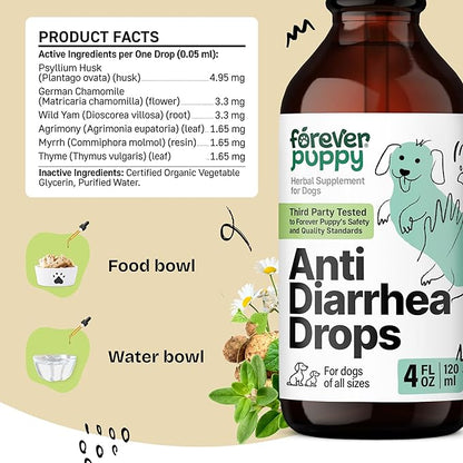 Anti Diarrhea Liquid Drops for Dogs - Psyllium Husk Fiber Supplement for Dogs - Pet Prebiotic Drops for Loose Stool & Digestive Health - Dog Vitamins & Supplement for Diarrhea Relief & Gut Detox 4 oz