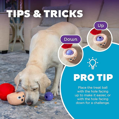 Outward Hound Nina Ottosson Snack Palz Interactive Plush Dog Puzzle with Treat Ball Dog Enrichment Toys Stuffable Dog Toy, Plush, Multicolored