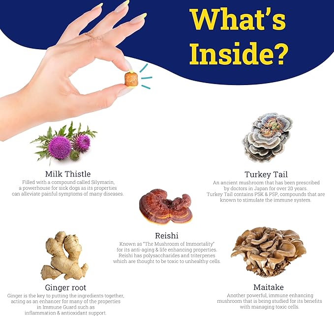 Immune Guard - Advanced Support for Dogs with Cancer- Natural Ingredients - Peanut Butter Flavor - APRX. 55 Soft Chews