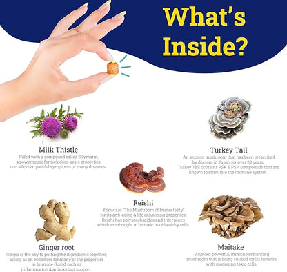 Immune Guard - Advanced Support for Dogs with Cancer- Natural Ingredients - Peanut Butter Flavor - APRX. 55 Soft Chews