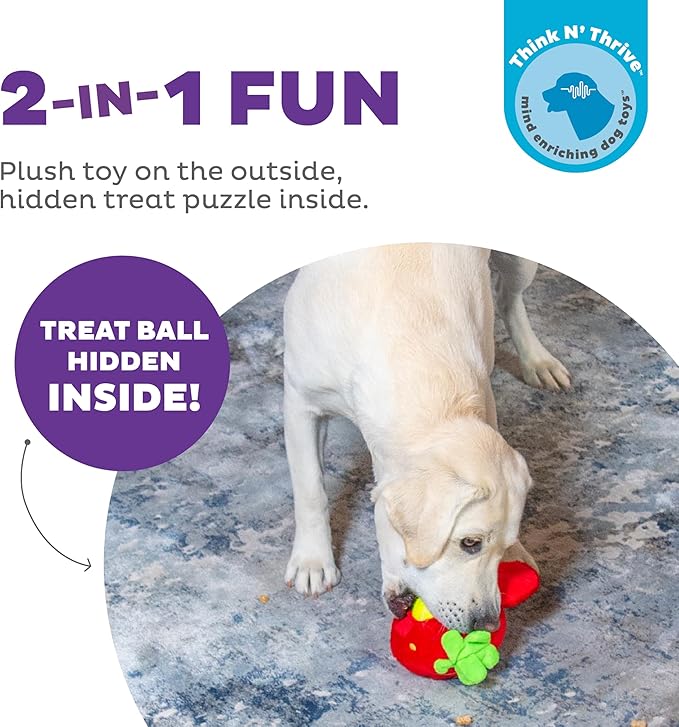 Outward Hound Nina Ottosson Fruity Findz Interactive Plush Dog Puzzle with Treat Ball Dog Enrichment Toys, Plush, Red
