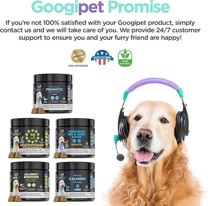 Googipet Probiotics for Dogs Digestive Health - Pre and Probiotics for Dogs + Digestive Enzymes - Dog Probiotic Chews w/Prebiotics & Pumpkin, Anti Diarrhea for Dogs, Constipation, Digestion, & Itching