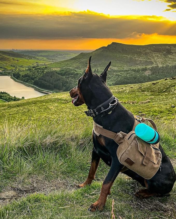 lesotc Portable Dog Water Bottle,Leak Proof Dog Water Bowl Dispenser,Dog Travel Water Bottle,Collapsible Pet Water Bottles for Dogs Hiking Gear,On The Go,Walking,Traveling Beach Essentials,BPA Free