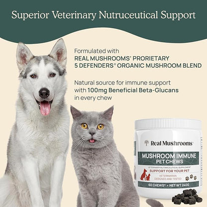 Mushroom Immune Support Pet Chews (60ct) treats for dogs – Immune booster supplements for pets with Ashwagandha, Astragalus, Blueberry, Olive Leaf, Acerola &Gut Health for Dogs and Cats