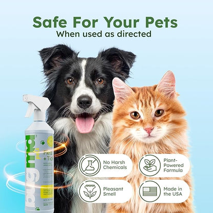 BugMD Flea and Tick Concentrate (3.7 oz, 2 Pack)- Essential Oil-Powered Formula, Controls Fleas, Ticks, Mites in Dogs, Cats, and Other Furred Animals, Spray on Pet Beds, Kennels