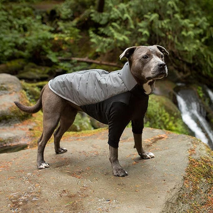 Furhaven Water-Repellent Medium Dog Coat, Washable & Reflective w/ Leash Access & Stretch Fabric - Pro-Fit Active Jacket - Chrome, Medium