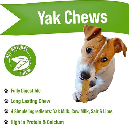 Buck Bone Organics Yak Cheese Chews for Dogs, All Natural Himalayan Yak Chew, Long Lasting Pet Treats, Odor Free, with Limited Ingredients (8 Small Sticks)