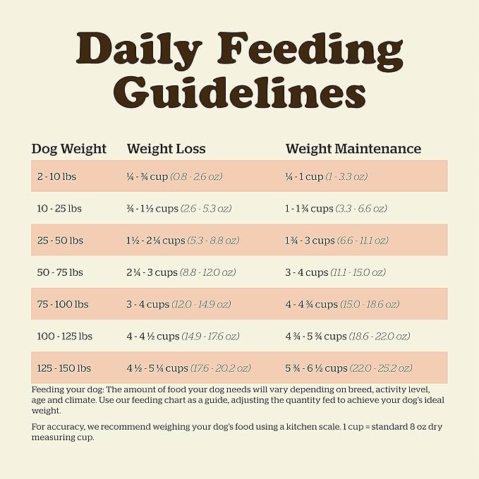 Now Fresh Grain Free Dog Food, 3.5 lb - Dry Dog Food Senior Recipe for Dogs - Real Meat and Fish for Protein - Healthy Diet for Small, Medium and Large Breed