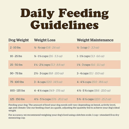 Now Fresh Grain Free Dog Food, 3.5 lb - Dry Dog Food Senior Recipe for Dogs - Real Meat and Fish for Protein - Healthy Diet for Small, Medium and Large Breed
