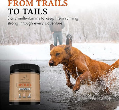OptiLife Multivitamin for Adult Dogs - Contains Probiotics, Allergy Support, Joint Support, Muscle Recovery, and Skin & Coat Support - Powder Supplement (30 Servings)