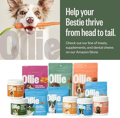 Ollie Belly Rubs Dog Probiotic Chews - Probiotics for Dogs - Dog Upset Stomach Relief - Probiotics for Dogs Digestive Health - Natural Dog Probiotics - Digestive Probiotics for Dogs - 60 count Appx.