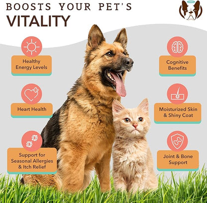 Natural Dog Company Pure Wild Alaskan Salmon Oil for Dogs (16oz) Skin & Coat Supplement for Dogs, Dog Oil for food with Essential Fatty Acids, Fish Oil Pump for Dogs, Omega 3 Fish Oil for Dogs