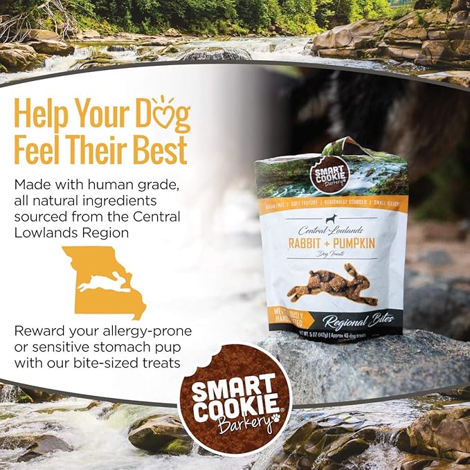 All Natural Dog Treats - Rabbit & Pumpkin - Training Treats for Dogs & Puppies with Allergies, Sensitive Stomachs - Soft Dog Treats, Grain Free, Chewy, Human-Grade, Made in USA - 5oz Bag