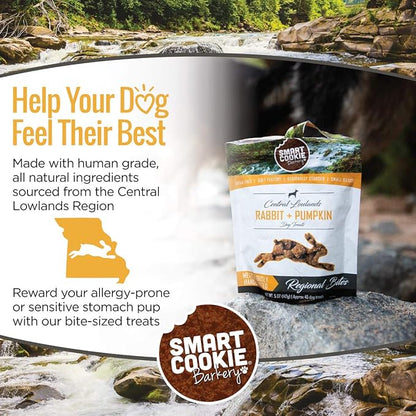 All Natural Dog Treats - Rabbit & Pumpkin - Training Treats for Dogs & Puppies with Allergies, Sensitive Stomachs - Soft Dog Treats, Grain Free, Chewy, Human-Grade, Made in USA - 5oz Bag