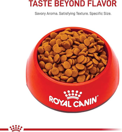 Royal Canin Small Digestive Care Dry Dog Food, 3.5 lb bag