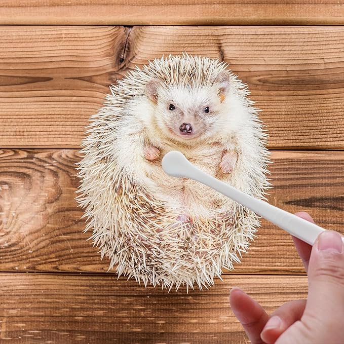 2 Pcs Pet Toothbrush for Hedgehog Small Animal Toothbrush Mini Head Soft Bristles Gentle Pet Toothbrush for Small Pets Dental Care Hedgehog Supplies Hedgehog Grooming Accessories (2 Pack)