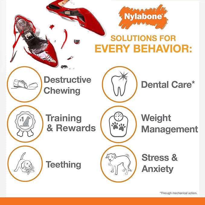 Nylabone Lobster Dog Toy Power Chew – Cute Dog Toys for Aggressive Chewers – with a Funny Twist! Filet Mignon Flavor, Small/Regular