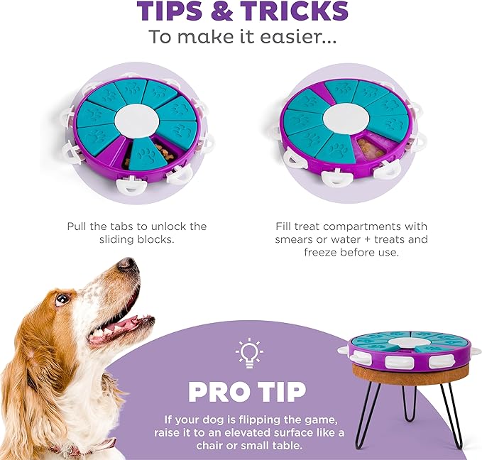 Outward Hound Nina Ottosson Dog Twister Dog Puzzle Interactive Treat Puzzle Dog Enrichment Dog Toy, Level 3 Advanced, Purple