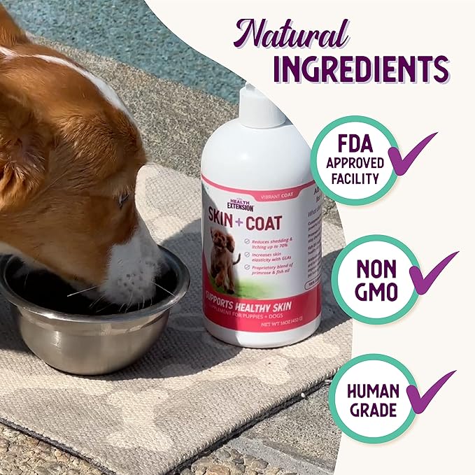 Health Extension Skin & Coat Oil - Liquid Food Supplement For Dogs - EPA, GLA & DHA to Prevent Shedding & Itching