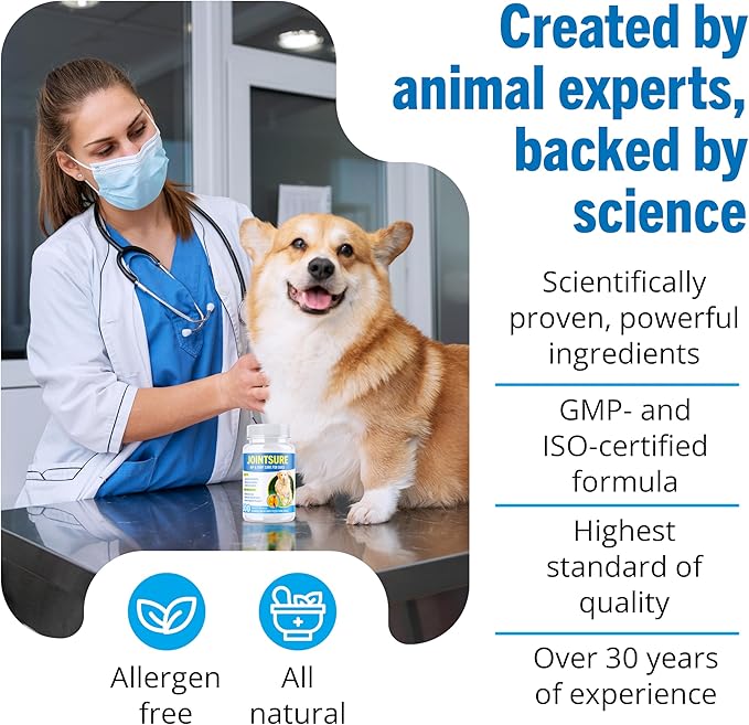 Hip and Joint Supplement for Dogs - Glucosamine for Dogs - Joint Support Supplement for Dogs with Glucosamine, Chondroitin and Green Lipped Mussels - 120 Tablets for All Breeds & Sizes