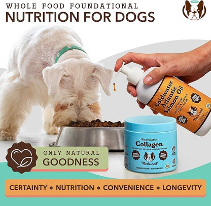Natural Dog Company Collagen Chews for Dogs - Enhanced with Eggshell Membrane - Unique 4-Type Collagen Blend for Mobility, Hip, Joint, Skin & Coat Support - with Vitamin C and Hyaluronic Acid -90 Ct