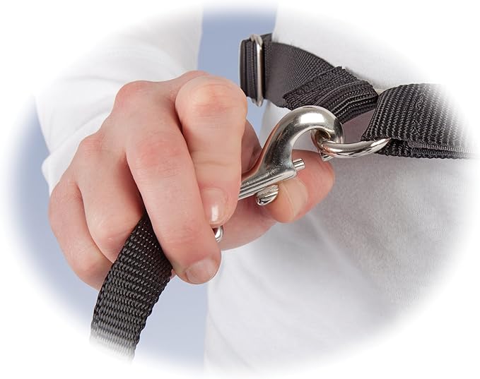 PetSafe Pet Hands Free Leash, Black