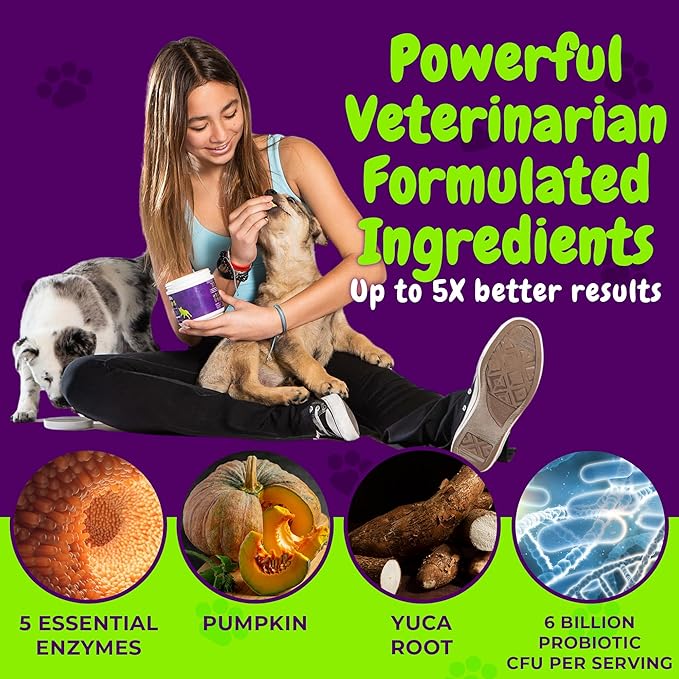 Probiotics and Digestive Enzymes for Dogs - Gut Flora, Digestive Health, Diarrhea & Bowel Support - Functional Dog Supplement Soft Chews for Immune System Boost with Pumpkin