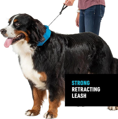 Nite Ize Raddog All-in-One Collar and Leash Combo - Heavy-Duty Dog Collar with Built-in Retractable Leash - 20" to 25" Collar - Blue, X-Large