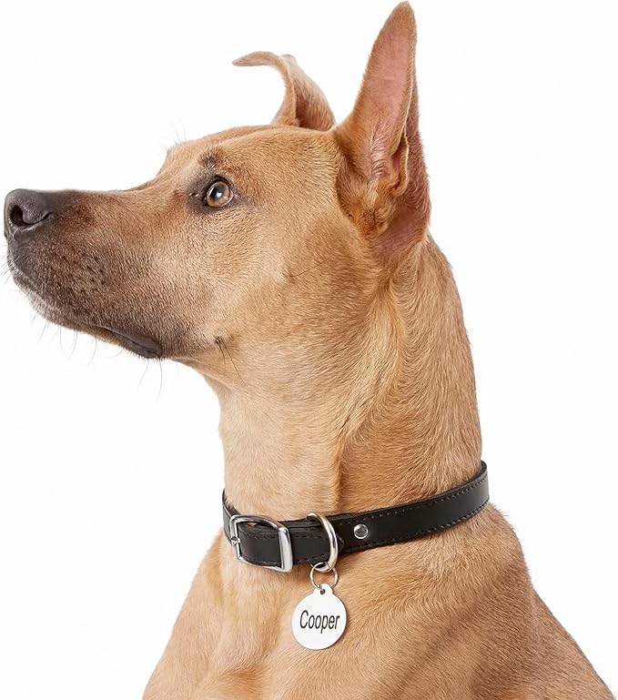 GoTags Personalized Dog Tags in Rainbow Steel, Black Steel, Stainless Steel or Solid Brass, Custom Engraved Pet Tags for Dogs and Cats. Front and Back Engraving. Dog ID and Cat ID Tags - (Pack of 1)