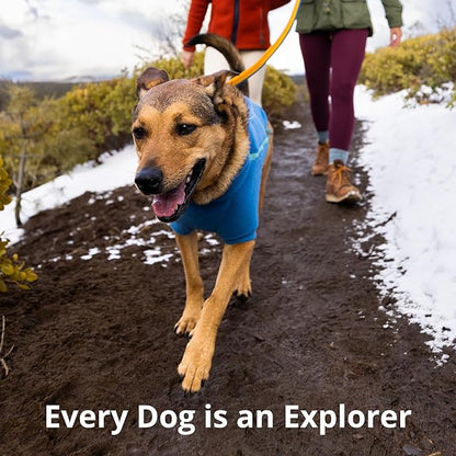 Ruffwear, Roamer Bungee Dog Leash for Running, Biking or Hiking, Can be Used Hand-Held or Hands-Free, River Rock Green, 7.3'-11'