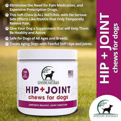 Hip and Joint Supplement for Dogs - Glucosamine Chondroitin, MSM, Organic Turmeric Soft Chews, Dog Vitamins, Supports Healthy Joint Function and Helps with Pain Relief,120 Count