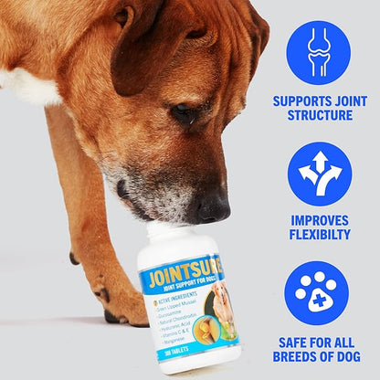 Hip and Joint Supplement for Dogs 300 Tablets | Formulated with Glucosamine & Chondroitin for Dogs | Proven to Improve Mobility & Increase Flexibility | All Breeds & Sizes