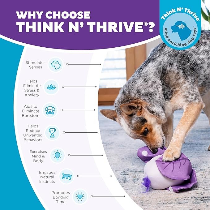 Outward Hound Nina Ottosson Hide N' Find Interactive Plush Dog Puzzle, Dog Enrichment Toys, Plush, Durable Dog Toy, Cauliflower, Purple