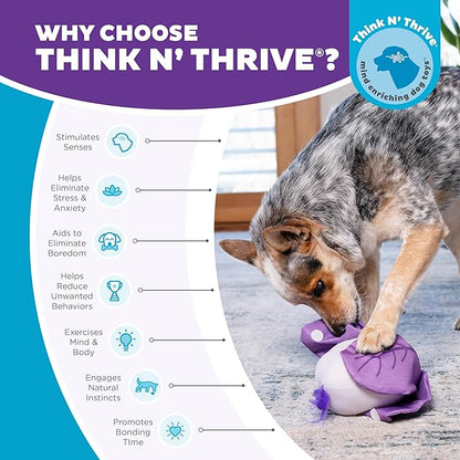 Outward Hound Nina Ottosson Hide N' Find Interactive Plush Dog Puzzle, Dog Enrichment Toys, Plush, Durable Dog Toy, Cauliflower, Purple