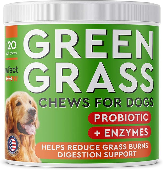 Green Lawn Chews for Dogs - Green Grass Chews - Urine Neutralizer Grass Burn Spots - Lawn Burn from Dog Urine - Probiotics & Enzymes - Made in USA - Bacon Flavor - 120 Lawn Saver Chews