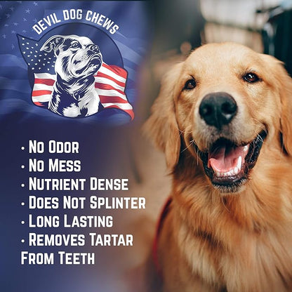 Devil Dog Pet Co Premium Bully Sticks for Dogs Pizzle Dog Chews - from 100% Grass-Fed, Free-Range Cattle - USA Veteran Owned (Thick, 12 Inch - 1 Pack)