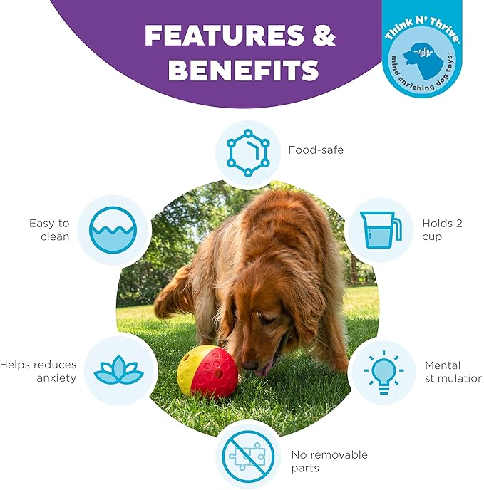 Outward Hound Nina Ottosson Treat Tumble Interactive Treat Ball Dog Puzzle Dog Enrichment Dog Toy, Level 1 Beginner, Pink, Large