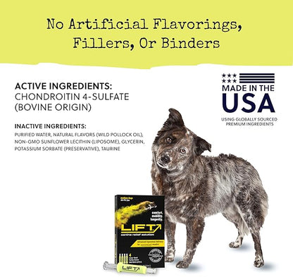 Summit Animal Lift Canine Pain Relief Health Supplement - Inflammation Hip & Joint Support Vitamin, All Natural Liquid Chrondroitin with Liposomal Delivery for Arthritis (Medium Dogs 25lbs-75lbs)
