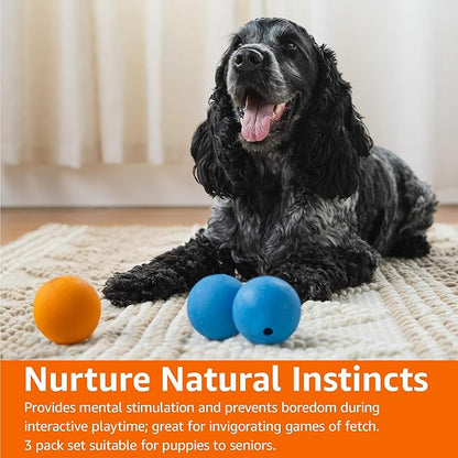 Amazon Basics Squeaker Toy Dog Balls, 2.5-Inch, 3-Pack, Blue, Orange