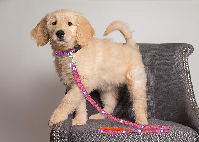 Pets First Collegiate Pet Accessories, Dog Leash, Clemson Tigers, Medium