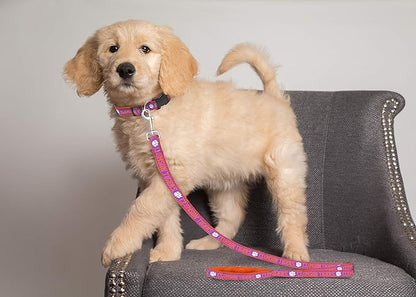 Pets First Collegiate Pet Accessories, Dog Leash, Clemson Tigers, Medium